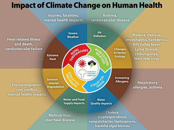 Climate Change Health Impacts