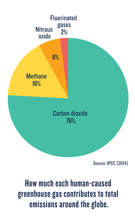 Greenhouse Gas Emissions